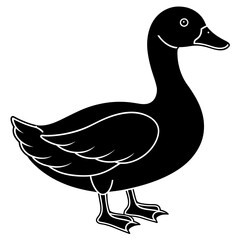 duck illustration