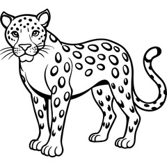 illustration of a leopard