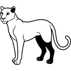 illustration of a leopard