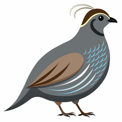 illustration of a bird