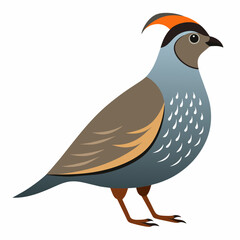 illustration of a bird