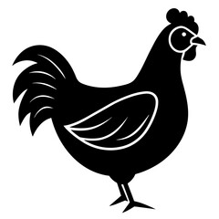 rooster isolated on white