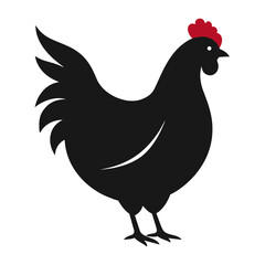 rooster isolated on white