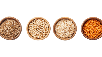 Four wooden bowls filled with different types of seeds arranged in a line on a white background, showcasing natural textures and colors.