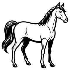 horse illustration