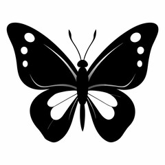 butterfly illustration