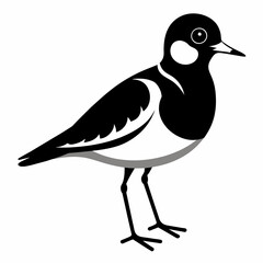 Obraz premium black and white bird