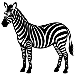 Fototapeta premium zebra vector illustration