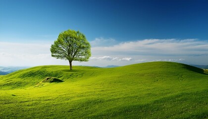 Fototapeta premium spring landscape with a lone tree on a hill