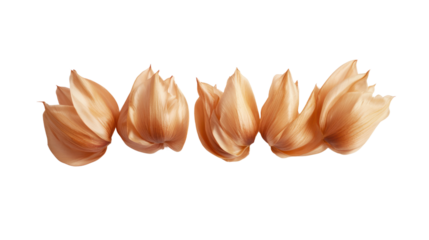 Stylized golden tulip petals showcased on a white isolate background, perfect for design and decoration purposes.