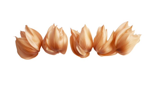 Stylized golden tulip petals showcased on a white isolate background, perfect for design and decoration purposes.