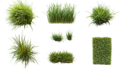 Various types of green grass clumps in different shapes, isolated on a white background, ideal for landscaping and gardening projects.