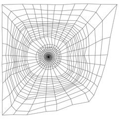 3D Rendering Spiderweb on White