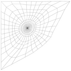 3D Rendering Spiderweb on White