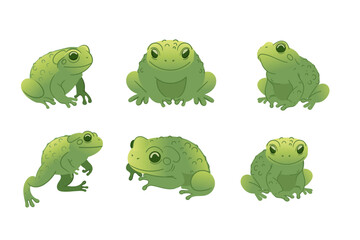 Collection of green frogs in various poses. Cartoon animal design, cute amphibian. Great for nature illustrations, wildlife designs, or educational visuals. Vector illustration isolated on white