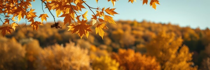 Autumn leaves with golden undertones fall from above blending seamlessly into the surrounding landscape, landscape integration, autumn leaves, fading light