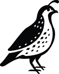 Quail Bird Icon  Simple Illustration
