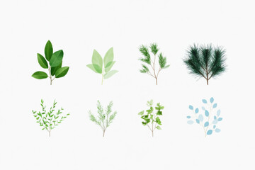 Obraz premium A set of green leaves and branches, including a tree, are shown in various sizes