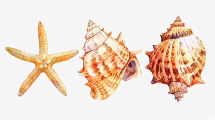 Obraz premium Watercolor Shell Four Beach Scenery with Starfish and Other Marine Elements