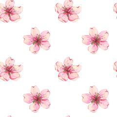 Almond flowers seamless pattern. Simple watercolor pattern of cherry blossoms. Hand drawn botanical illustration for fabric printing. Delicate spring floral print