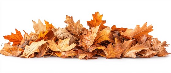 Obraz premium Autumnal Dried Leaves Pile Nature Fall Season Background