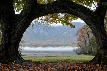 Fototapeta premium Autumnal tree arch framing misty mountain lake