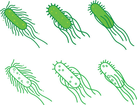 Set of Salmonella Typhi Bacteria Flat design and Outline  illustration