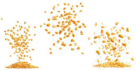 Set of flying corn kernels and corn cob, isolated on transparent background