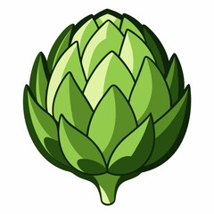 Artichoke vector white background