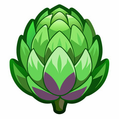 Artichoke vector white background