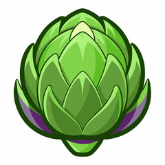 Artichoke vector white background