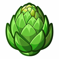 Artichoke vector white background