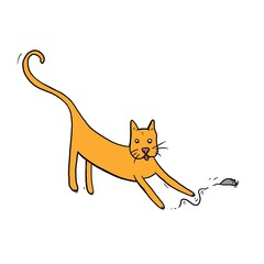 cat playfully chasing a mouse