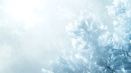 Delicate Ice Flowers Glimmering in Winter Light