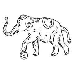 Circus Elephant Sketch: A charming hand-drawn sketch of a majestic elephant, adorned with a traditional headdress, delicately balancing a ball on its trunk.