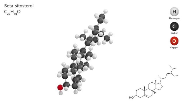 Beta-Sitosterol. Animated 3D model of a molecule. Molecular formula: C29H50O. Chemical model: Ball and sticks. White background. 3D rendering. Seamless loop.