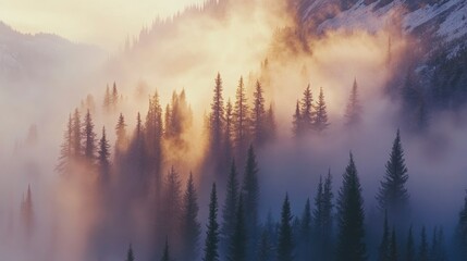 Fototapeta premium Misty Mountain Forest Sunrise Golden Light Illuminates Trees