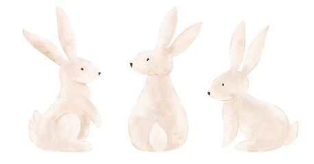 Fototapeta premium Isolated Easter Hare Clip Art in Cartoon Style with Seasonal Flowers and Festive Design