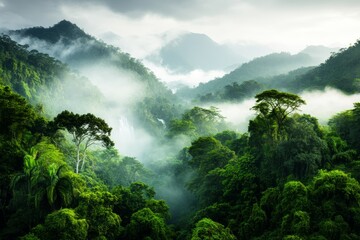 A lush forest in Tanzania Usambara Mountains, with a cascading waterfall hidden among the dense greenery