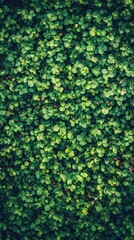 Lush Green Leaf Background Natural Foliage Texture Vibrant Spring Summer Greenery