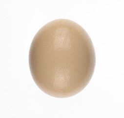 toy plastic brown egg isolated on white background
