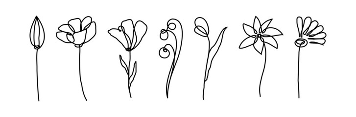Set of flower in line art. Brush. Charcoal and crayon. Hand drawn. Scribble. Melted paint. Ink. Splash. Grunge texture. Trendy minimalism collection shape. Tattoo plant. Contour decoration. Blossom