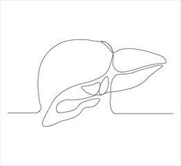 One continuous line drawing of human liver organs. single line of liver drawing.  illustration of liver anatomy concept. editable outline