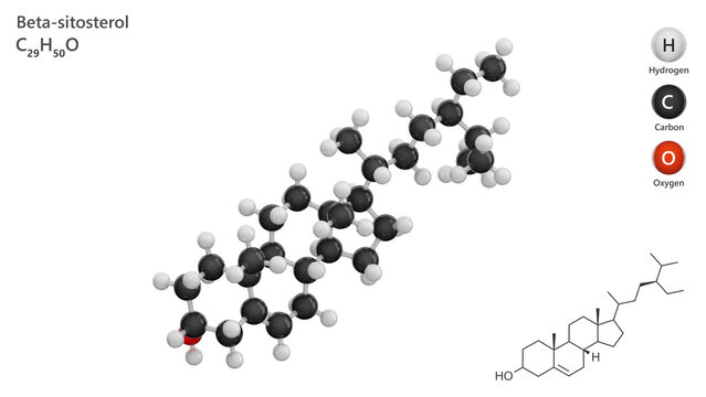 Molecule: Beta-Sitosterol. Molecular structure. Formula: C29H50O. Chemical model: Ball and stick. White background. 3D illustration.