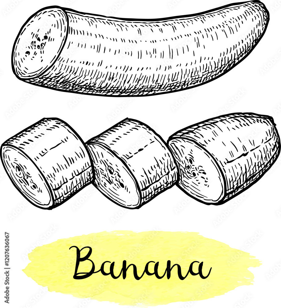 Canvas Prints peeled and sliced banana ink sketch