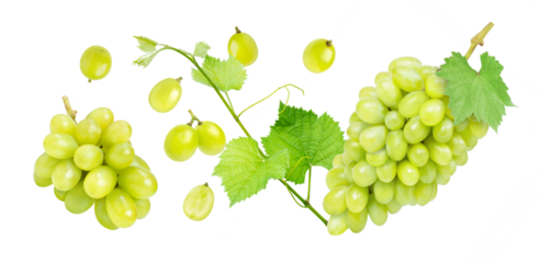 green grapes isolated on white