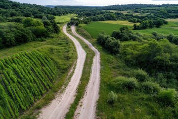 This stunning aerial view captures a winding country road flanked by lush green fields, emphasizing the beauty and tranquility of the rural landscape.