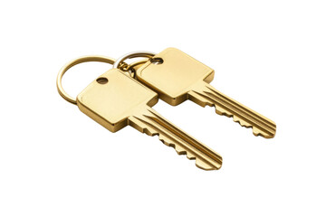 House key pair with metal house shaped keyring isolated on white background. PNG


