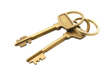 House key pair with metal house shaped keyring isolated on white background. PNG


