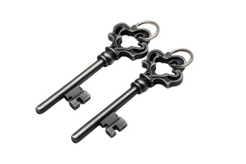 House key pair with metal house shaped keyring isolated on white background. PNG


